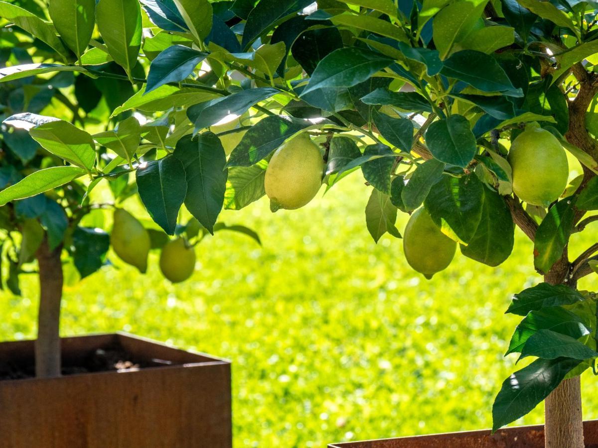 Gartenheim Tramin แตร์เมโน ภายนอก รูปภาพ